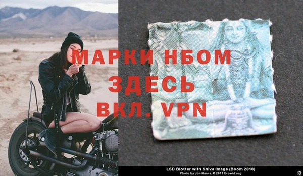 мяу мяу мука Баксан