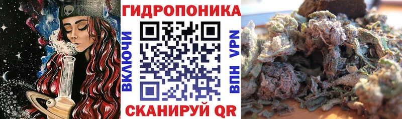 KRAKEN сайт  Колпашево  Бошки Шишки THC 21% 